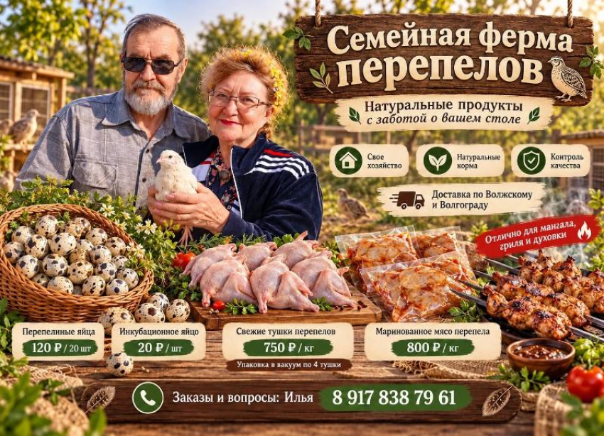 От семейной фермы — прямо к вашему столу: свежие перепелиные яйца и мясо с доставкой по Волжскому и Волгограду