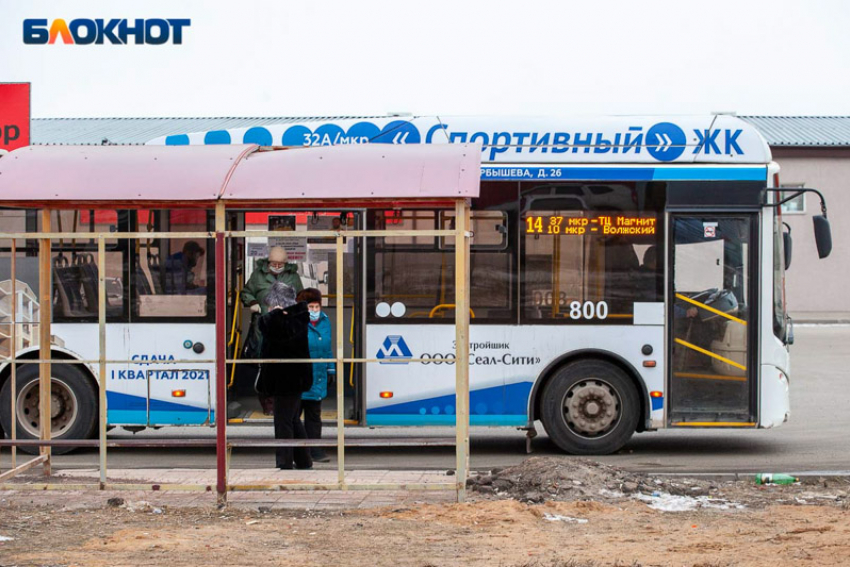 «Влюбленный автобус» будет курсировать в Волжском