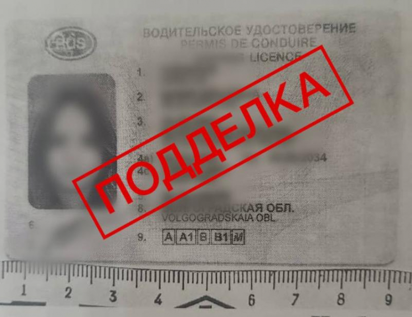 Волжанка заплатила за липовые права «Хондой» и свободой