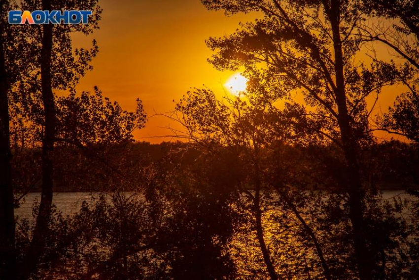 Духота, жара и дождь: прогноз погоды на вторник в Волжском