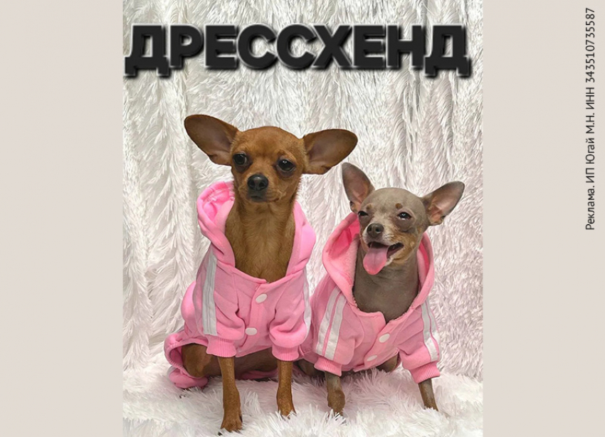 Товар дня. Скидка 30% на одежду для ваших питомцев в «Дрессхенд»