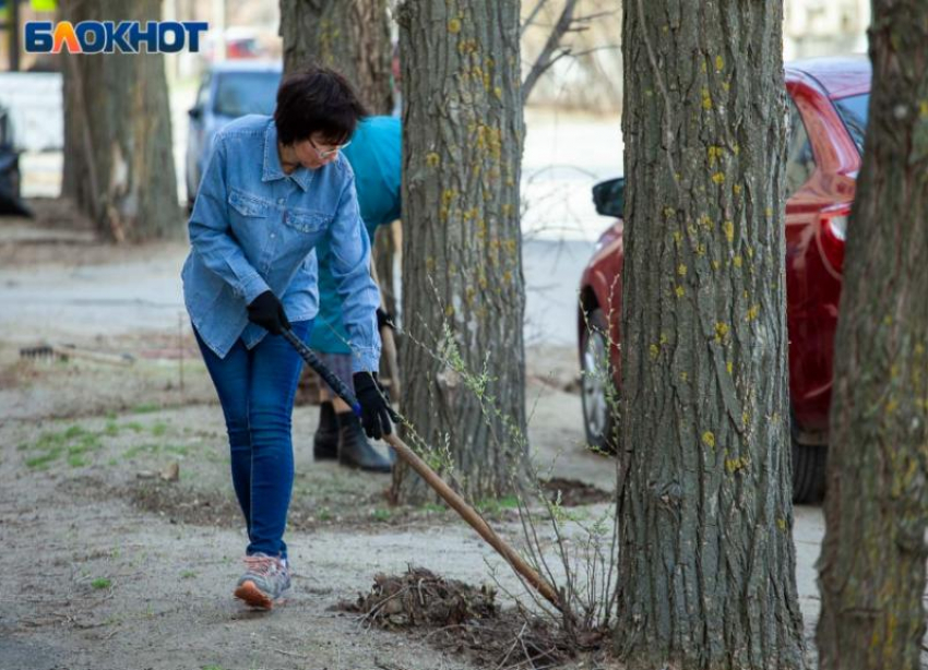 Свыше 1000 деревьев высадят весной в Волжском