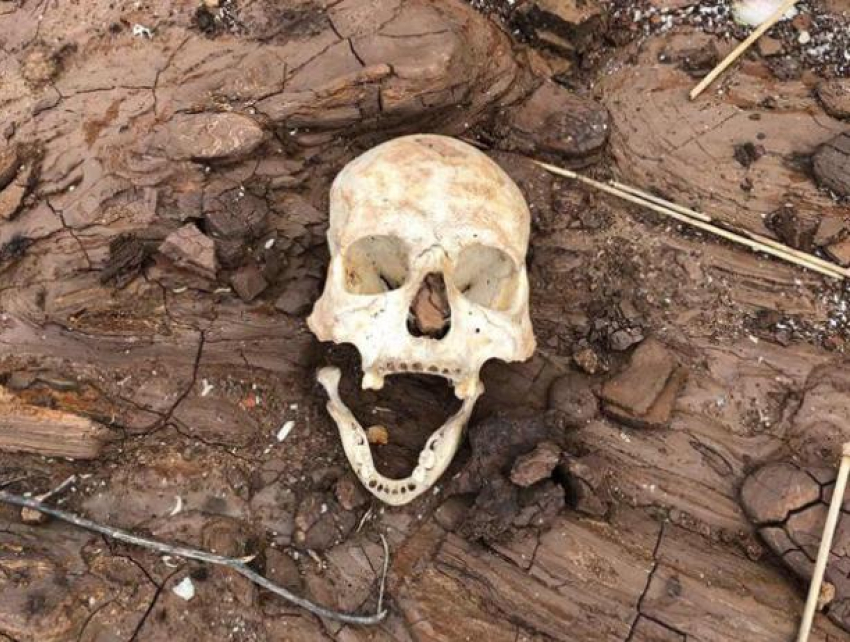 В Волгоградской области человеческие кости и гробы, «замурованные» в землю, лезут наружу