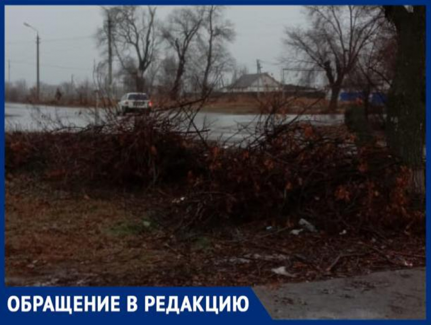 «Ветки спилили, складировали и оставили на зиму», - волжанин