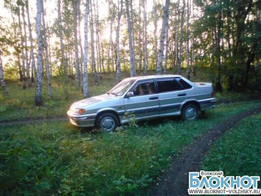 За проезд по «Волго-Ахтубинской пойме» волжанам придется заплатить штраф