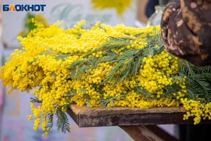 Перед 8 Марта в Волжском усилят рейды против стихийной продажи цветов