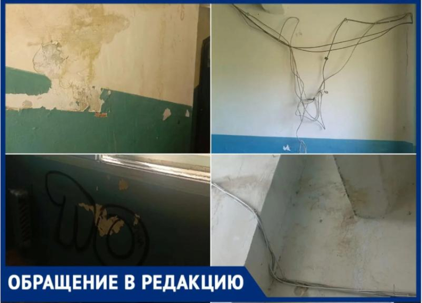 «Платим, но тонем в грязи и проводах»: жильцы дома на Кирова, 24 в Волжском отчаялись дождаться ремонта подъезда