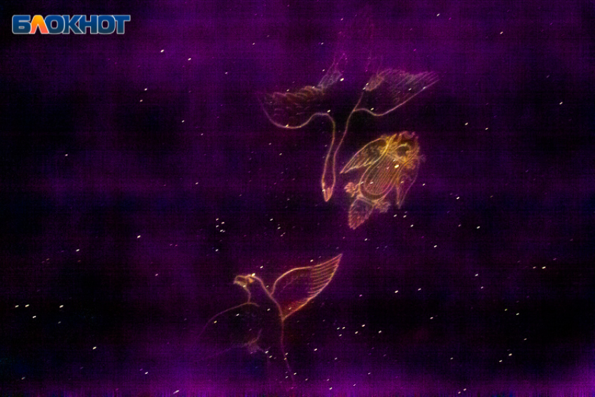 День лучше посвятить простым и привычным делам: гороскоп на 29 марта