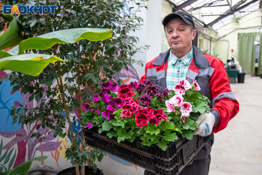 История ботанического сада в Волжском началась с указа Логинова