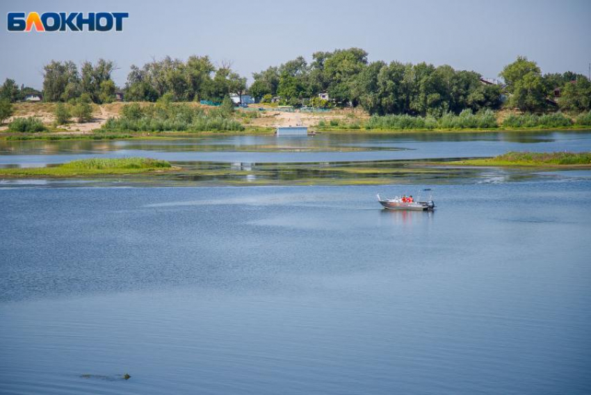 Паразиты в водоемах: мониторинг воды и почвы провели в Волжском