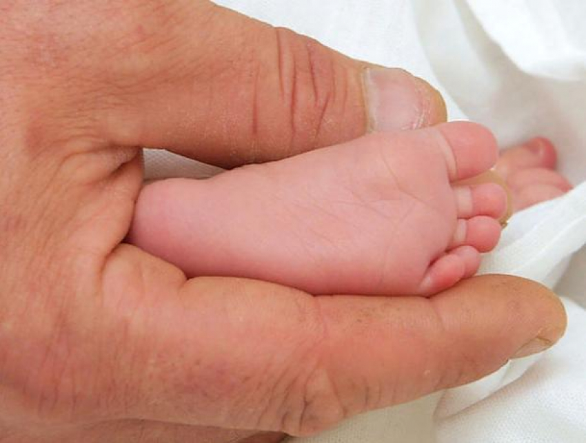 Волжанам не надо теперь оформлять детям СНИЛС