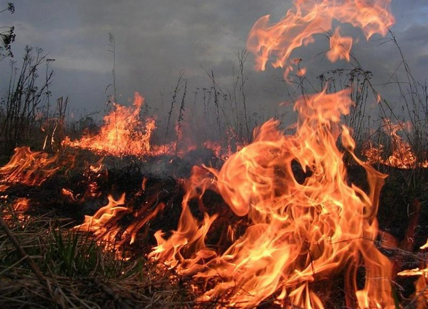 Подготовительные мероприятия к весенее-летнему пожароопасному сезону начались в Волжском