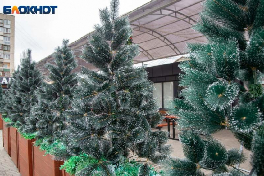 День, когда лучше не испытывать судьбу