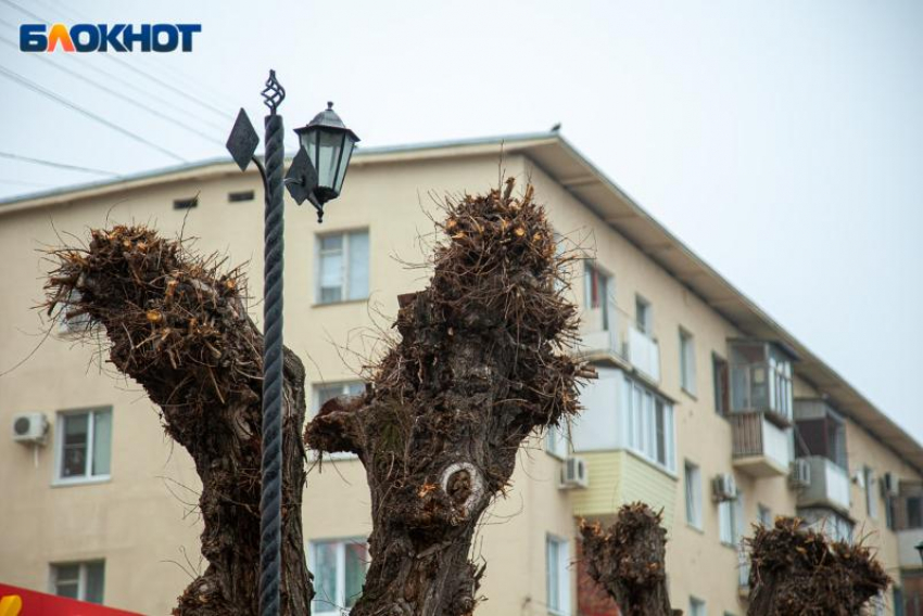 Понедельник в Волжском будет пасмурным: прогноз погоды