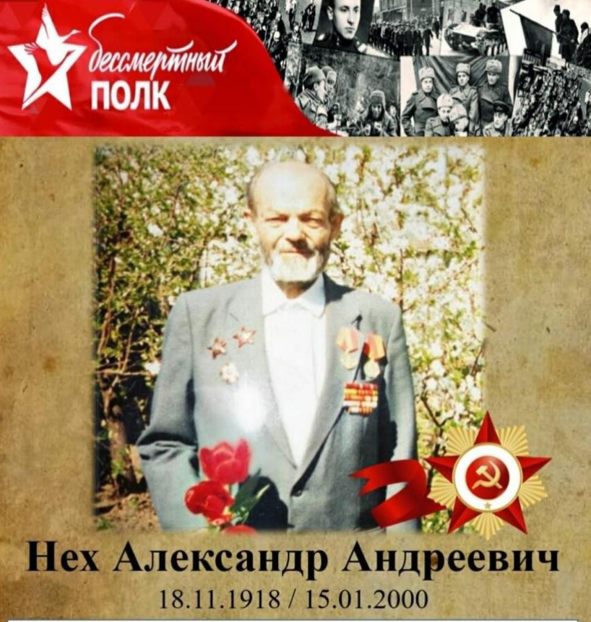 «В окопах постоянно стояла вода»: о подвигах прадеда в годы ВОВ рассказала волжанка 