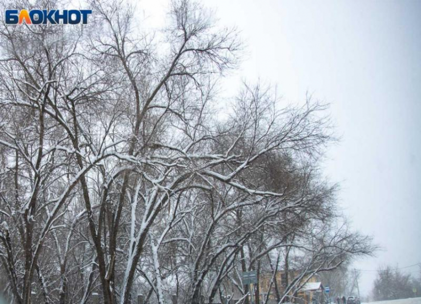 Погода преподносит сюрпризы волжанам: резкий перепад температур и морозы