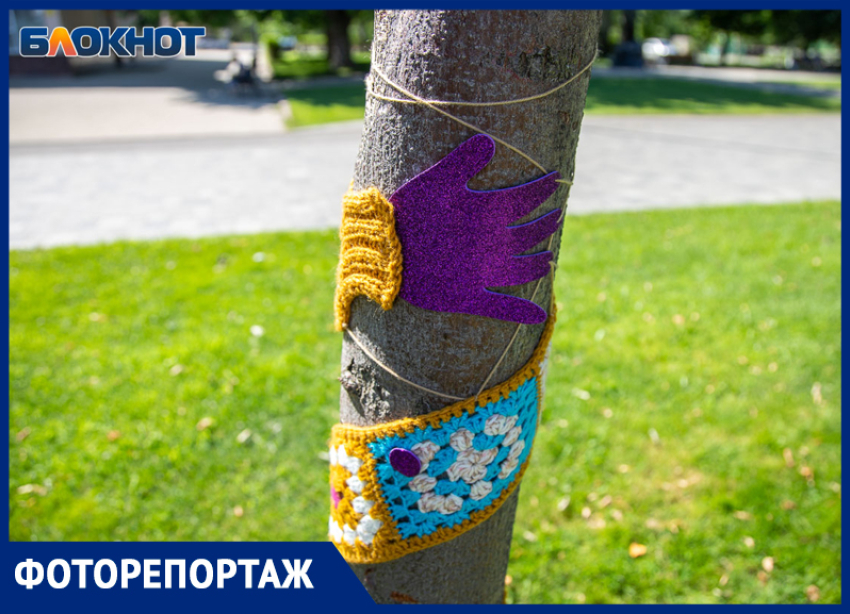 Волжские рукодельницы одели деревья в вязанные кофточки в центральном парке