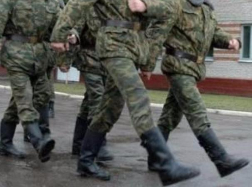 Топтать кирзу отправились 14 юношей из Волжского