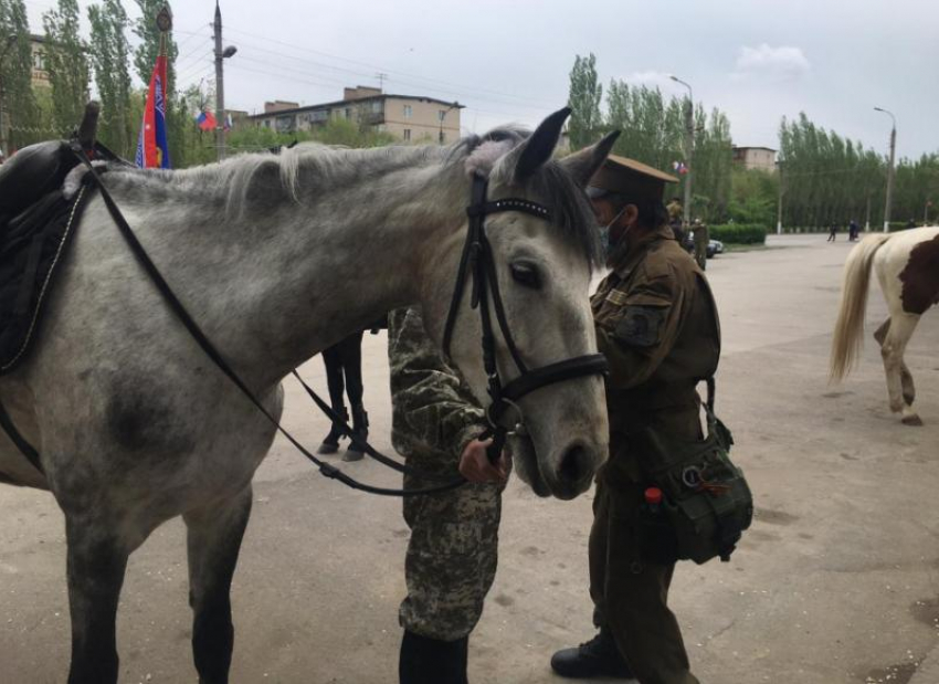 Волжане замерли: по улицам прошел конный парад