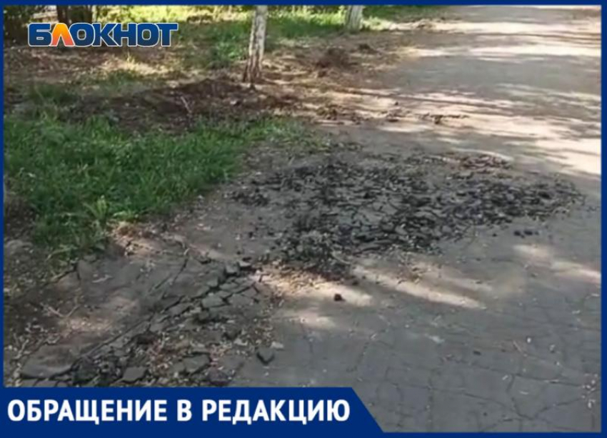 В Волжском сквере рабочие разбомбили дорожки, пока спиливали деревья: видео