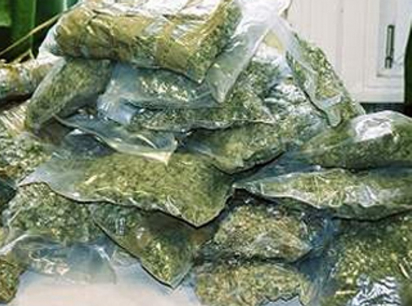 В Волгоградской области в течение года  изъято 440 килограммов наркотиков