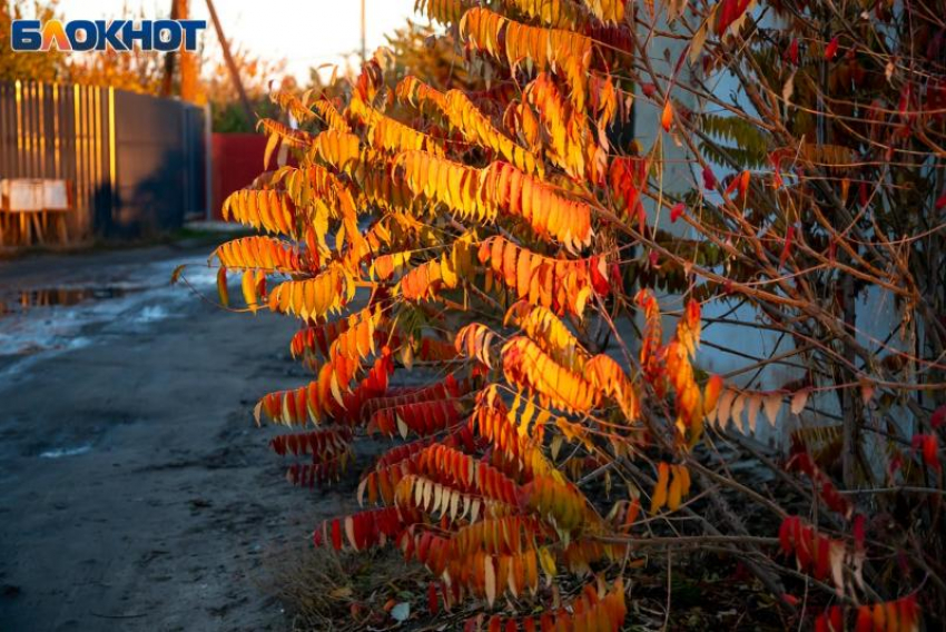 Безветренный четверг обещают в Волжском: прогноз
