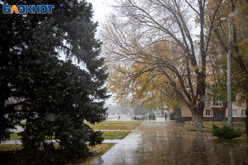 Куда сходить на выходных в Волжском