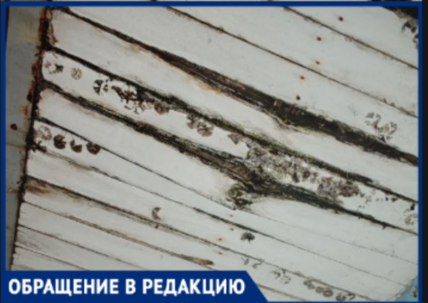 Жители многоэтажки в 9-м микрорайоне Волжского боятся выходить из подъезда из-за разрушающегося козырька 