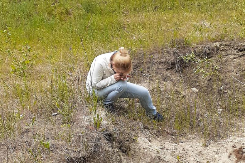 В Волгоградской области обнаружили новую популяцию редкого мха 