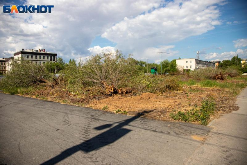 Ливни с грозой, град и ветер: непогода надвигается на Волгоградскую область