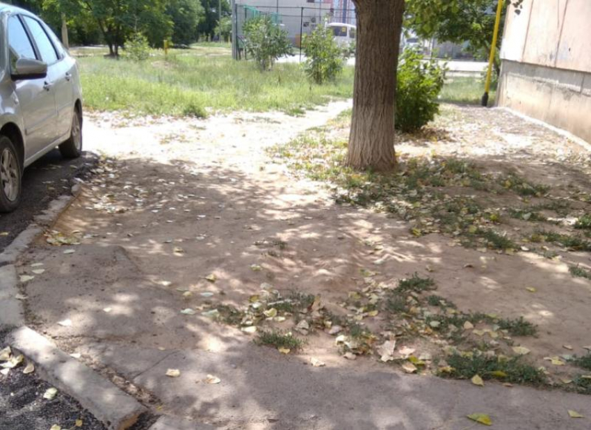 Листья желтые над городом кружатся: почему в Волжский пришла осень