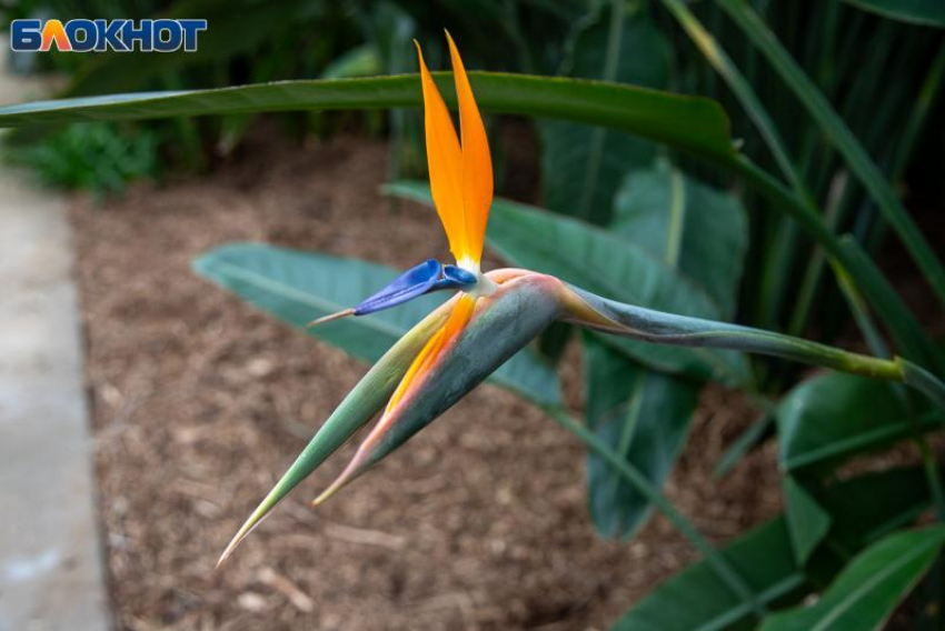 День может показаться рациональным: гороскоп на 13 февраля