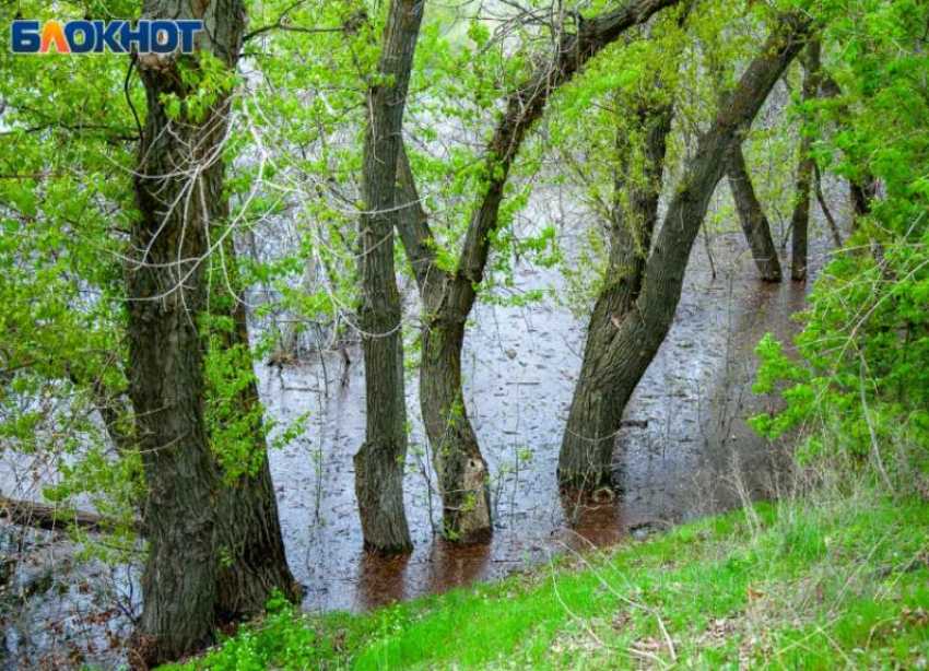 Что можно и нельзя делать волжанам в Калинов день