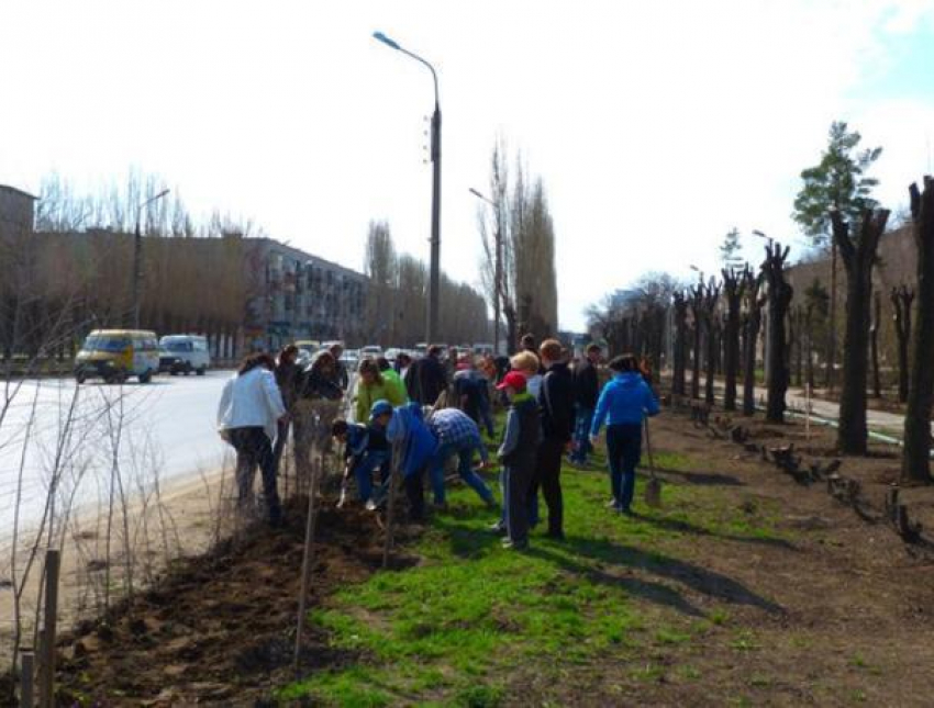 Волжан призывают навести порядок в городе