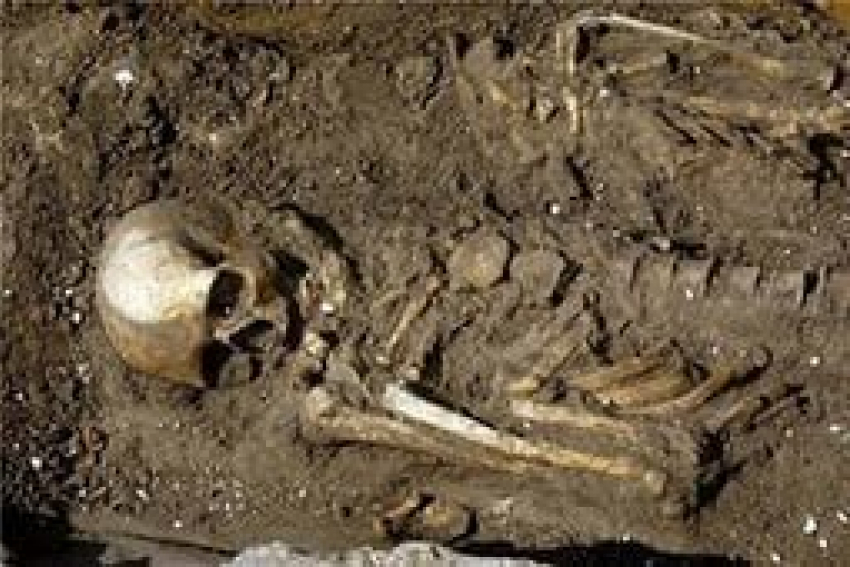Под Волгоградом найдены останки 55-летнего мужчины