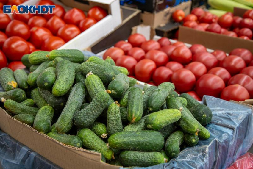 На 21% подорожали огурцы в Волжском: статистика