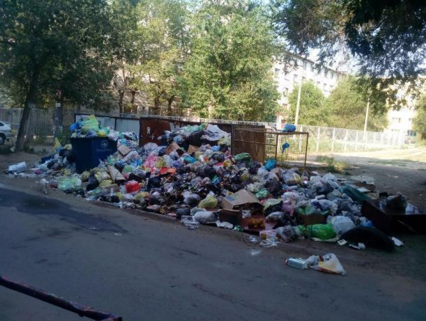 Приносите еще, нам мало! - жители Волжского о горах мусора в своем дворе 