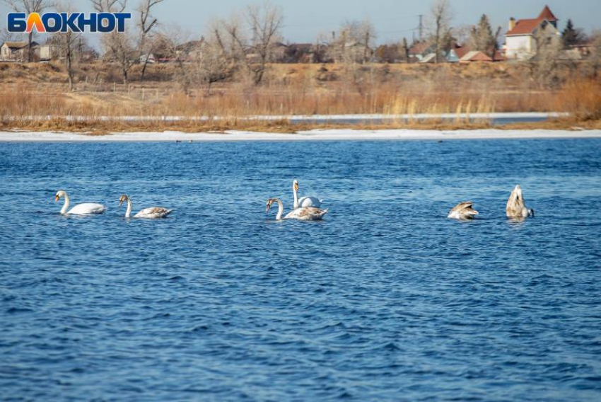 Местный житель близ Волжского присвоил часть акватории Волги
