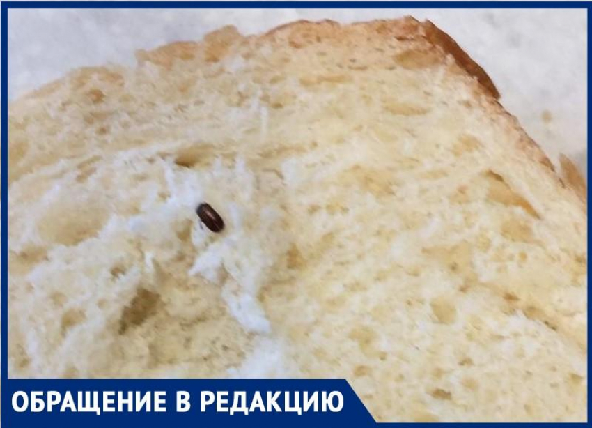 Ты на кого батон крошишь: жительница Волжского нашла в хлебе букашку
