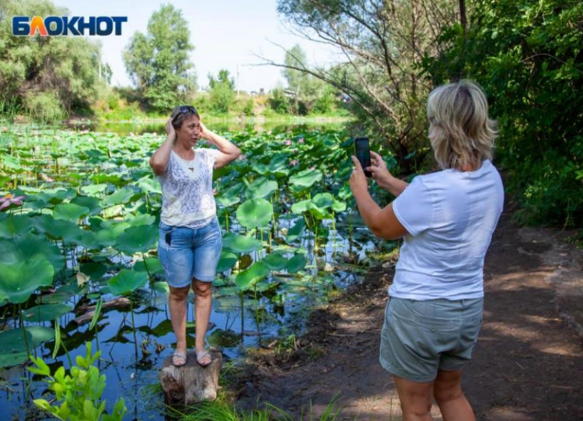 Волжан приглашают принять участие в областном фотоконкурсе