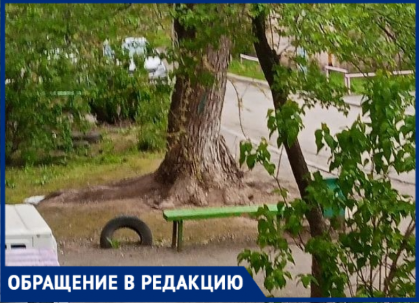 В Волжском дерево из перечня вредителей разрушает дом, но УК бездействует