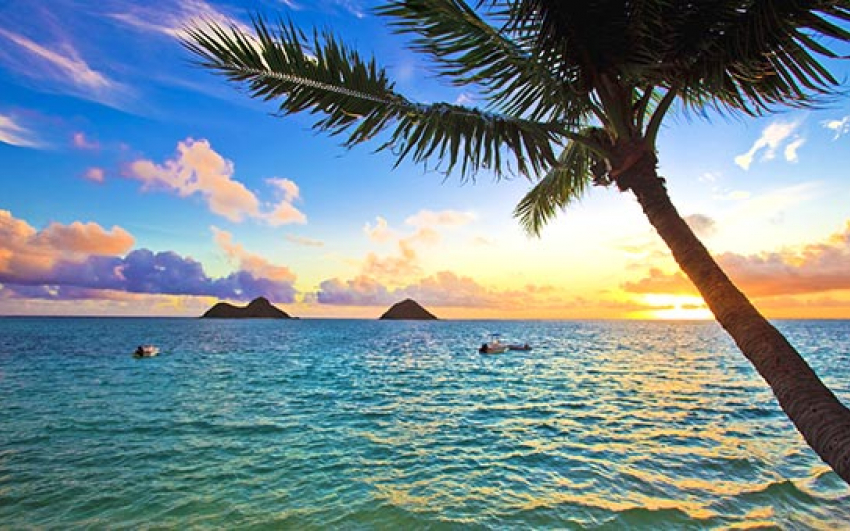 Куда отправиться в путешествие после завершения пандемии