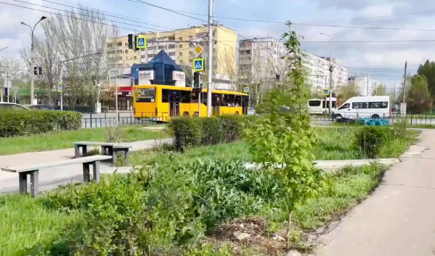 В Волжском установят скульптуру, скамейки и вертикальные клумбы около детской поликлиники №2 