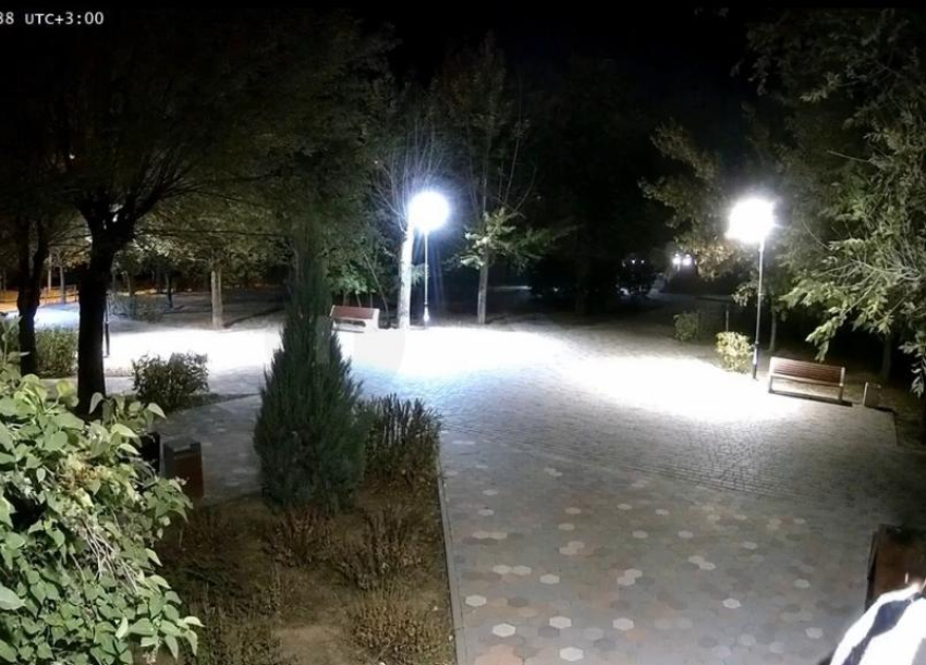 Неизвестный разгромил уличную библиотеку в Волжском: видео