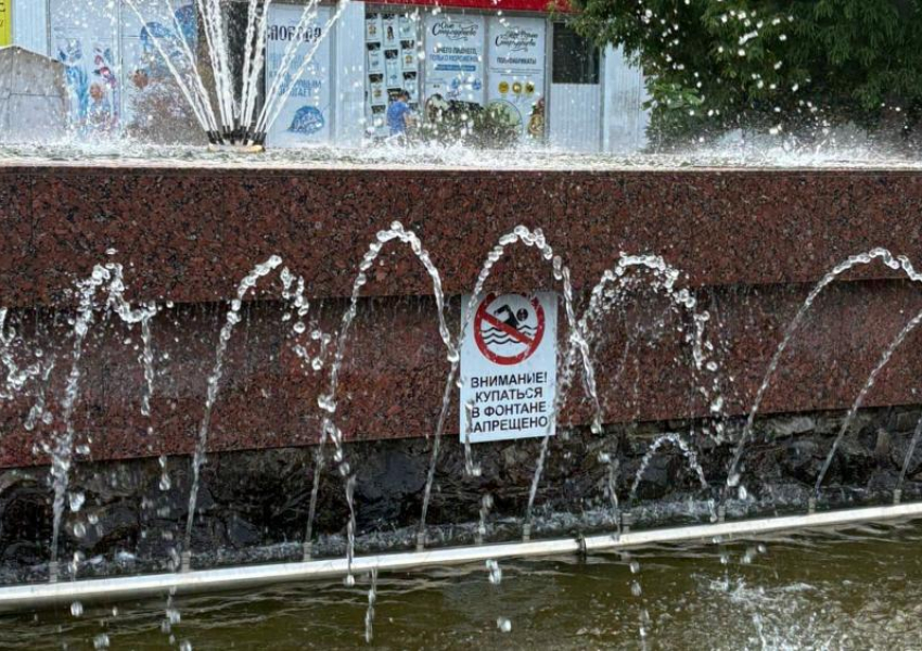 Хватит превращать город в помойку! Волжанка о заплывах и мусорке в фонтанах