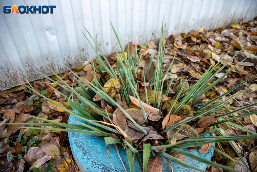 Весь день будет пасмурно: прогноз погоды в Волжском