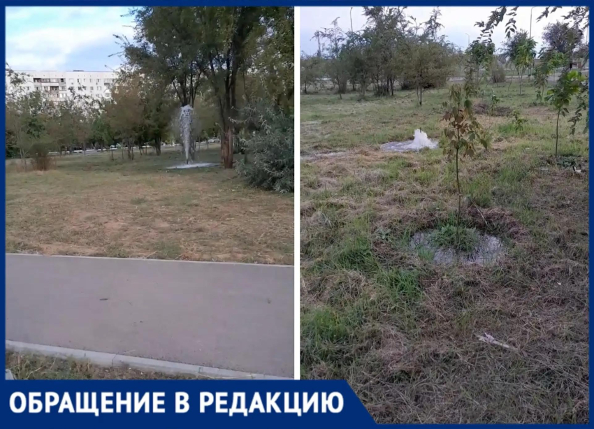 «Фонтаны бьют, а деревья сохнут»: волжанка пожаловалась на странный полив в парке