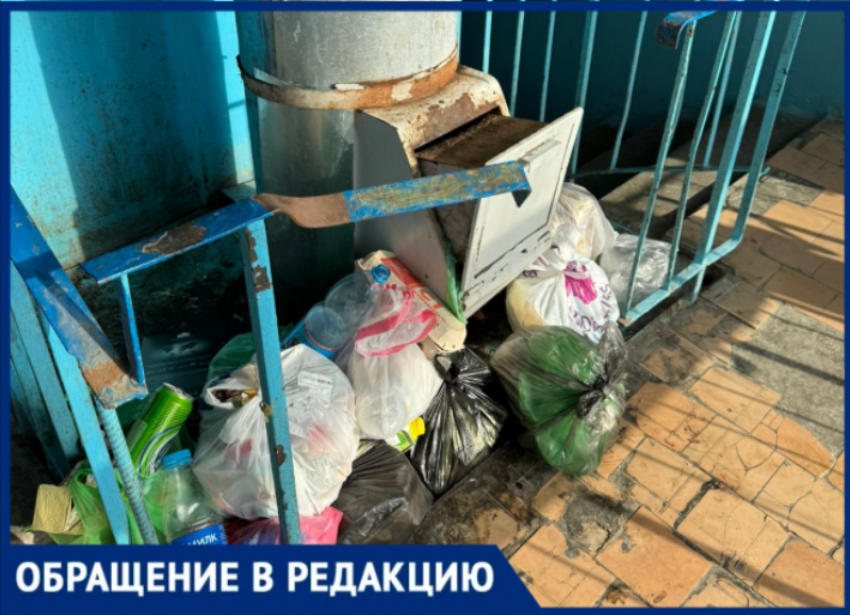 «Скоро не то что тараканы и крысы появятся»: волжане повторно пытаются добиться от УК качественной уборки подъезда 