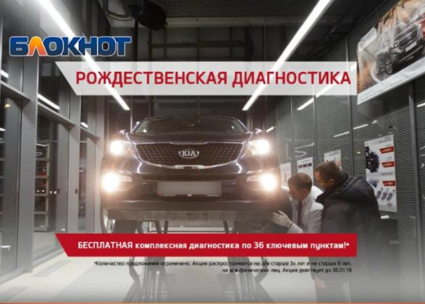 Рождественская диагностика в агат KIA