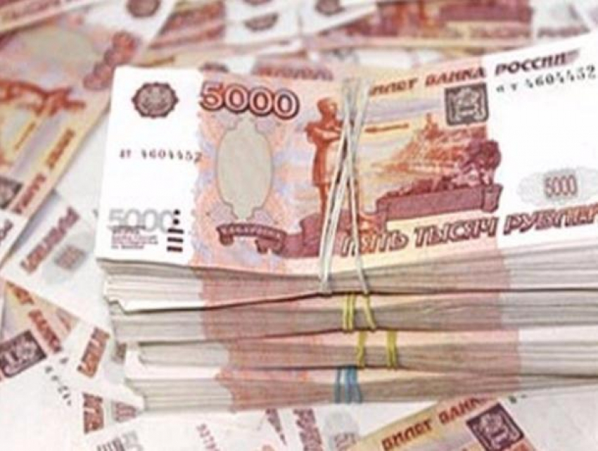 На отлов бродячих собак в Волжском не хватает еще 2,5 миллиона рублей